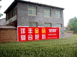 东阳如何让墙体广告展现最大化效果