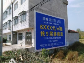 东阳墙体广告质量分析