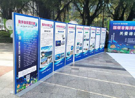 东阳KT板的种类和知识。